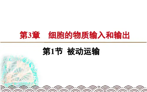 人教版高中生物必修一课件：4.1 被动运输(新教材2019)(共24张PPT)