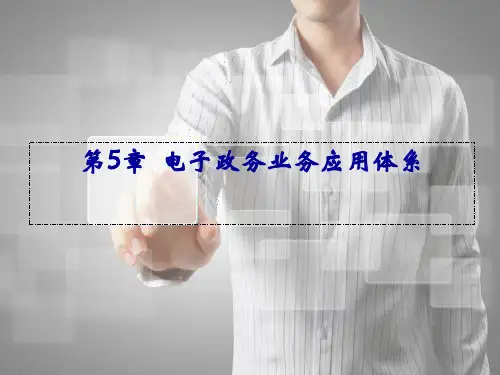 第5章 电子政务业务应用体系《电子政务》PPT课件