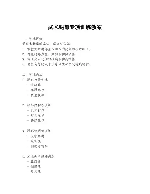 武术腿部专项训练教案
