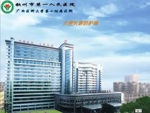 大便失禁的护理PPT课件