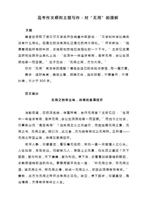 高考作文模拟主题写作：对“无用”的理解