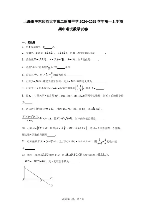 上海市华东师范大学第二附属中学2024-2025学年高一上学期期中考试数学试卷
