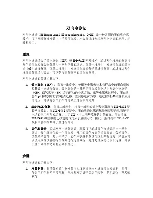 双向电泳法