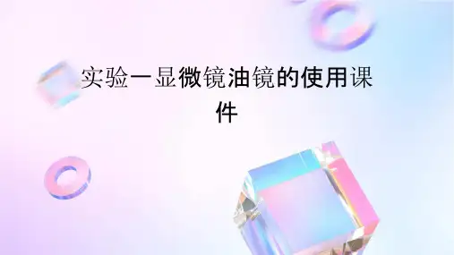 实验一显微镜油镜的使用课件