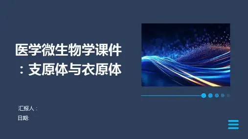医学微生物学课件：支原体与衣原体