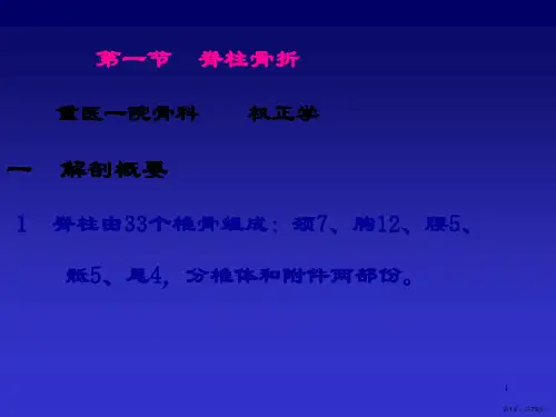 脊柱骨盆骨折PPT课件