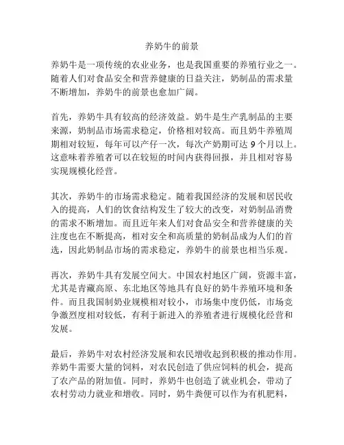 养奶牛的前景