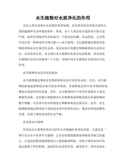 水生植物对水质净化的作用