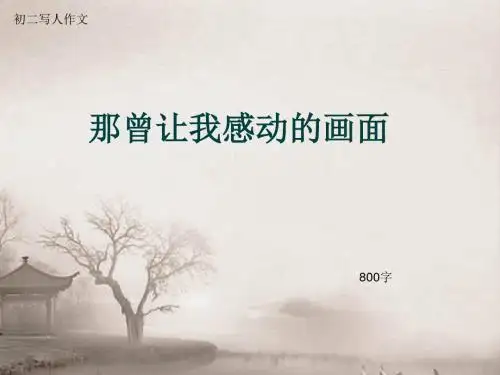 初二写人作文《那曾让我感动的画面》800字(总11页PPT)