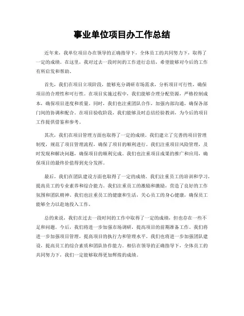 事业单位项目办工作总结