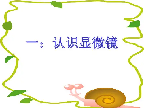 中考生物实验考试操作课件(显微镜)