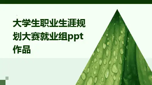 大学生职业生涯规划大赛就业组ppt作品
