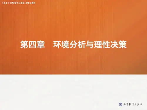 4 环境分析与理性决策