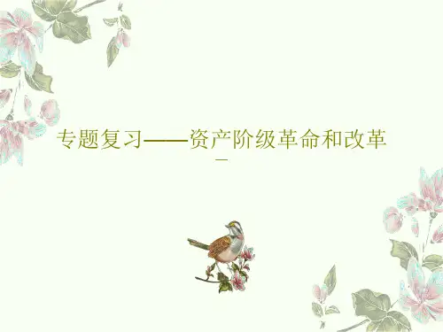 专题复习——资产阶级革命和改革共33页