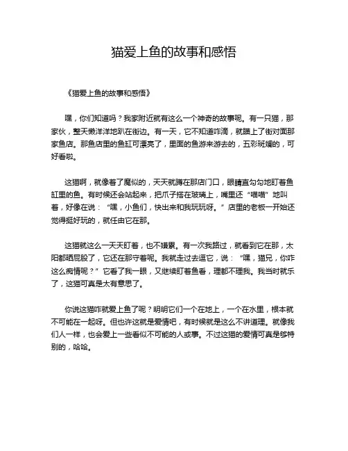 猫爱上鱼的故事和感悟