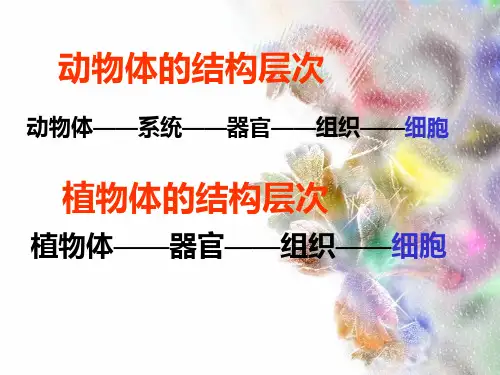 七年级生物《单细胞生物》公开课PPT课件