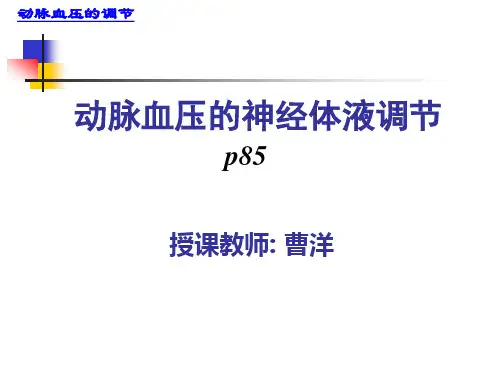 1.动脉血压的调节