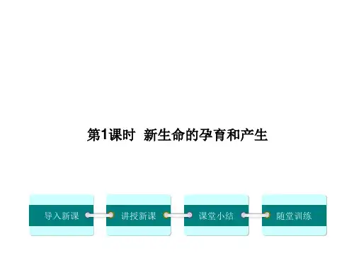 八年级生物新北师大版上册课件：第19章 第1节 人的生殖和发育 第1课时新生命的孕育和诞生