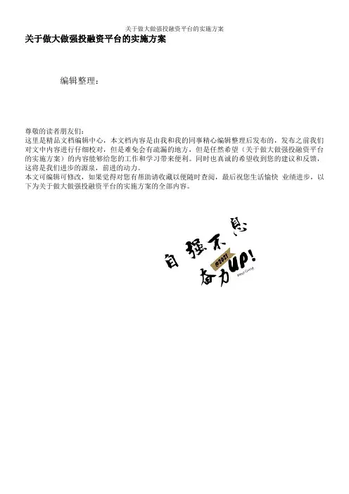 关于做大做强投融资平台的实施方案