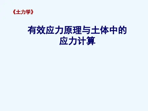 土力学-第二章有效应力