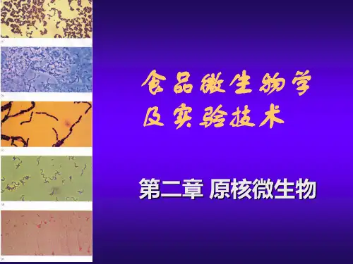 2-1原核微生物-细菌