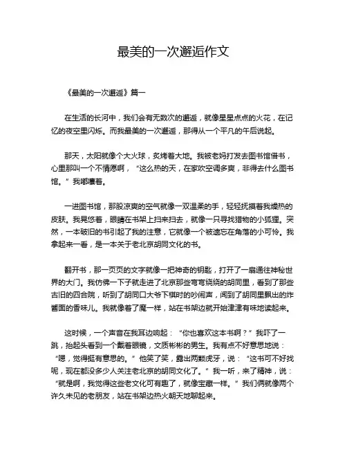 最美的一次邂逅作文