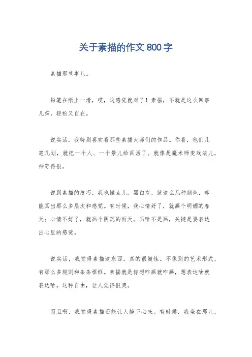关于素描的作文800字