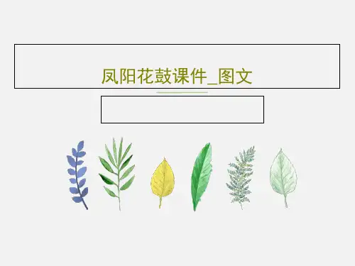 凤阳花鼓课件_图文共15页文档