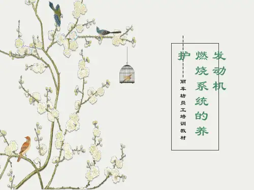 发动机燃油系统养护培训