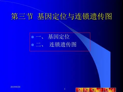 第三节基因定位与连锁遗传图
