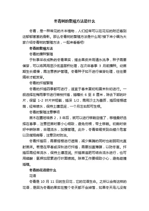 冬青树的繁殖方法是什么