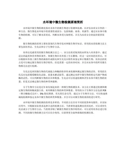 水环境中微生物检测原理简析