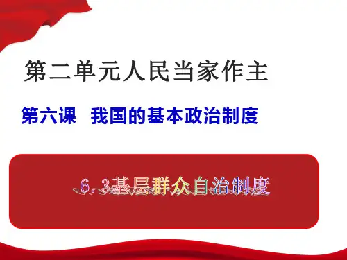 基层群众自治制度