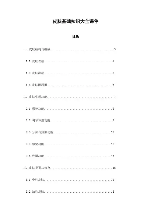 皮肤基础知识大全课件