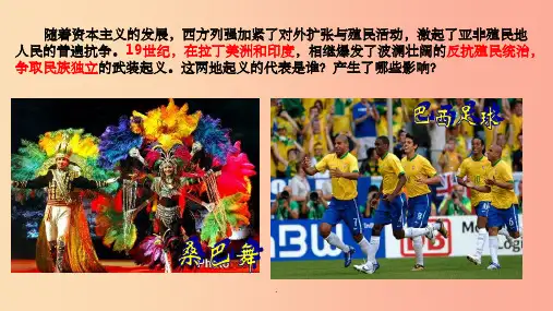 九年级历史下册 第1单元 殖民地人民的反抗与资本主义制度的扩展 第1课 殖民地人民的反抗斗争1 新人
