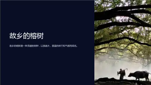 故乡的榕树-精美课件