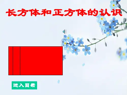 人教版长方体和正方体的认识PPT教学课件