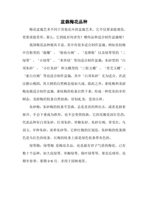 盆栽梅花品种