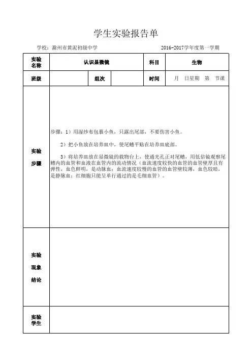 七年级生物学生实验报告(观察鱼尾鳍的血液流动)