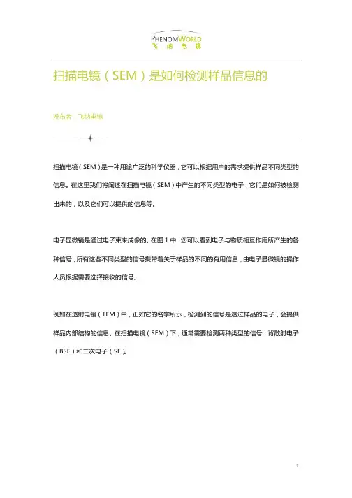 扫描电镜(SEM)是如何检测样品信息的
