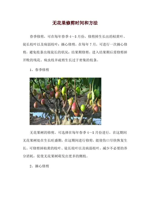 无花果修剪时间和方法