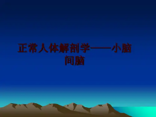 最新正常人体解剖学——小脑  间脑幻灯片课件