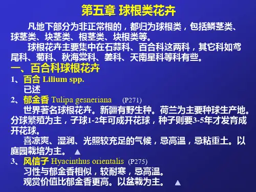 第五章 球根类花卉