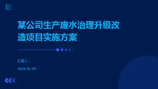 某公司生产废水治理升级改造项目实施方案