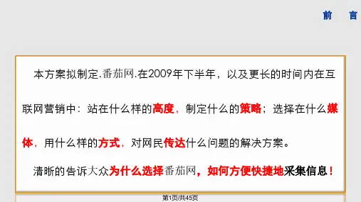 蕃茄网络营销建议方案PPT课件