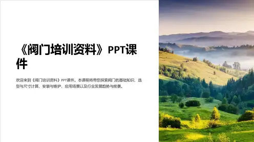 《阀门培训资料》课件