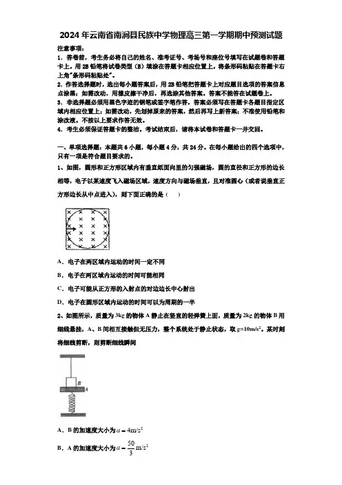 2024年云南省南涧县民族中学物理高三第一学期期中预测试题含解析