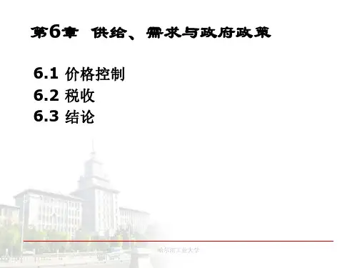 《经济学基础》教学课件 第6章 供给、需求与政府政策