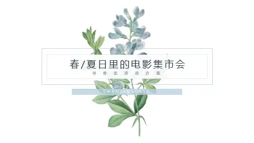 房地产夏日电影集市活动策划案
