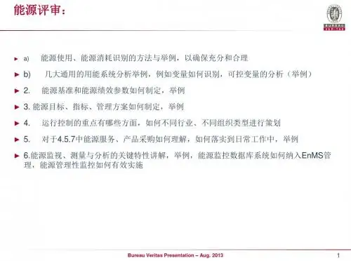 能源评审案例-2014-11解析